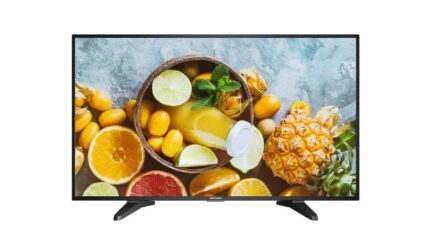 DS-D5032QE 31.5-inch FHD Monitor